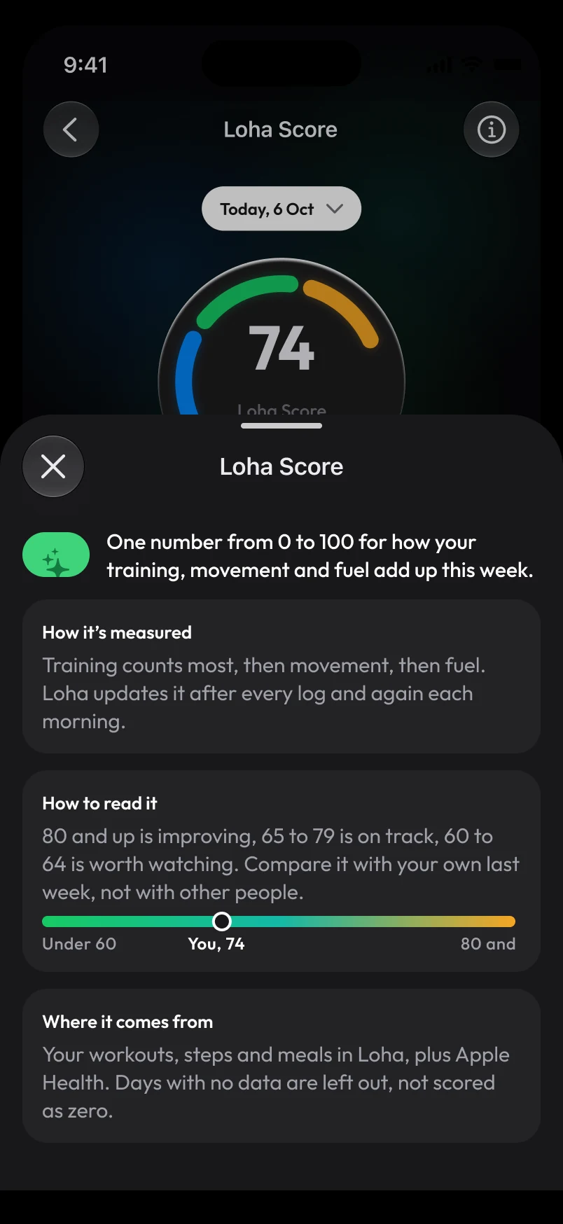 Loha app: Metric info, sheet (Loha Score)